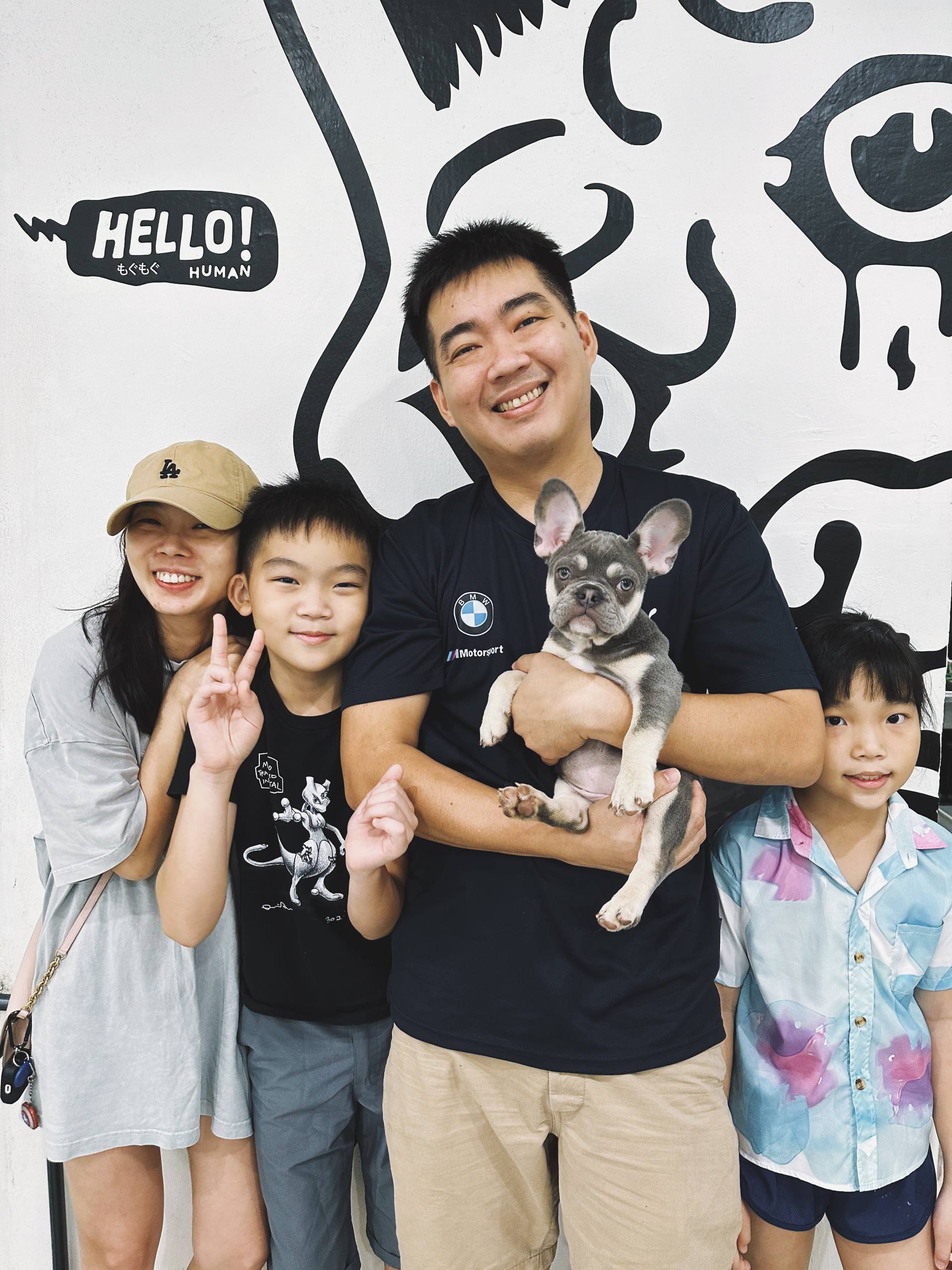 Hello Human puppies and kittens owner portrait 2