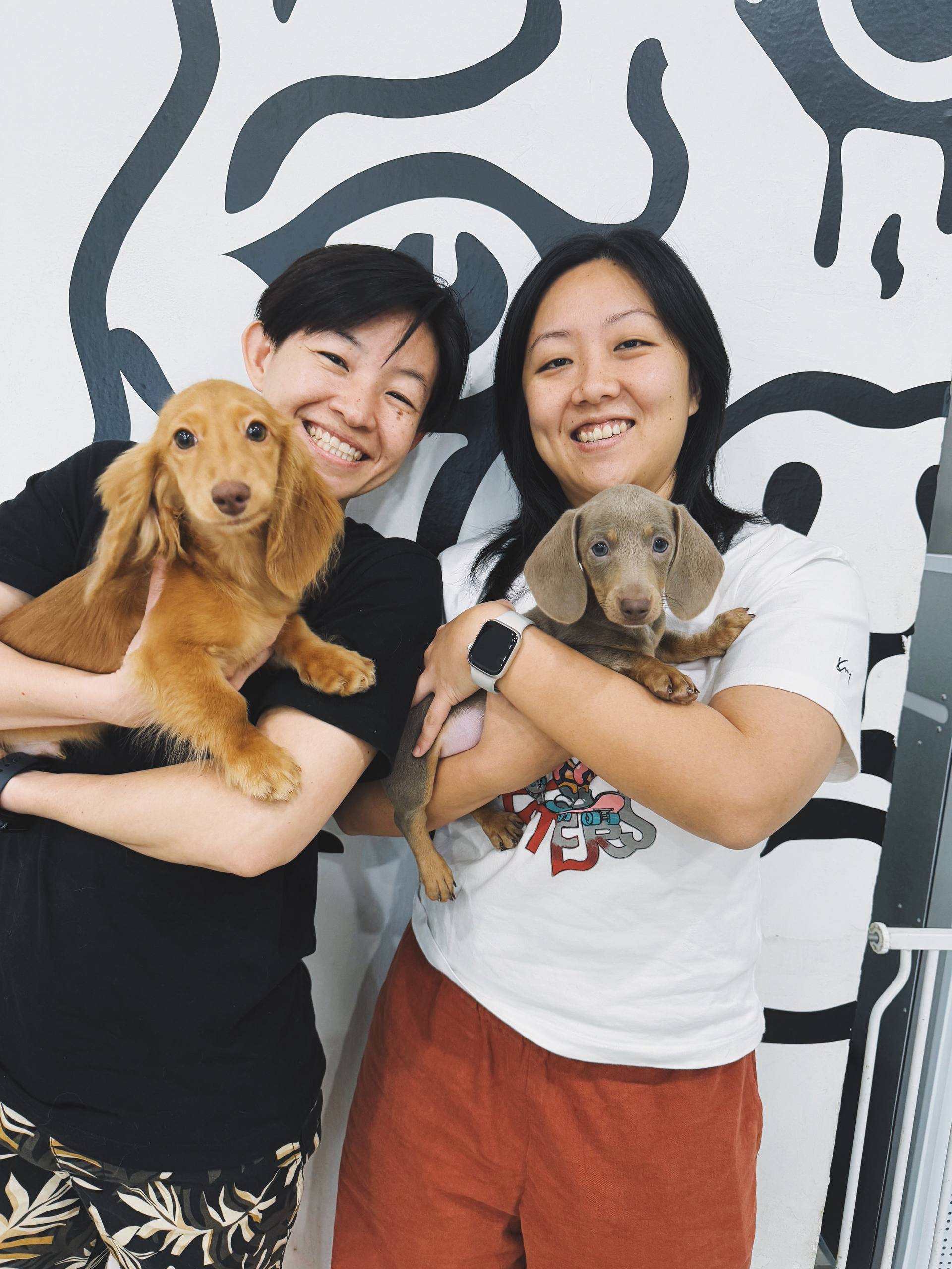 Hello Human puppies and kittens owner portrait 4
