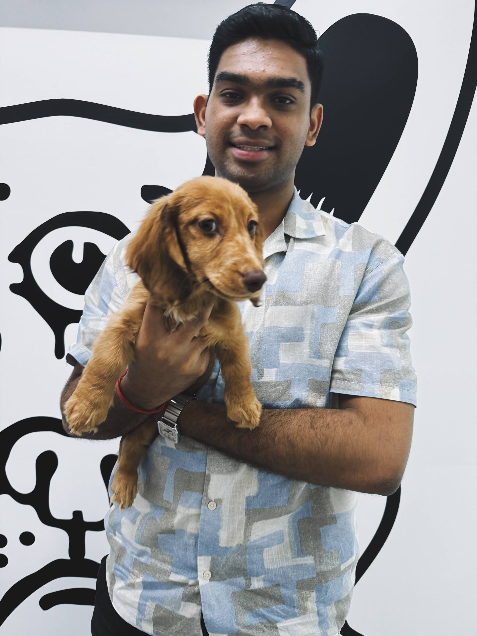 Hello Human puppies and kittens owner portrait 9